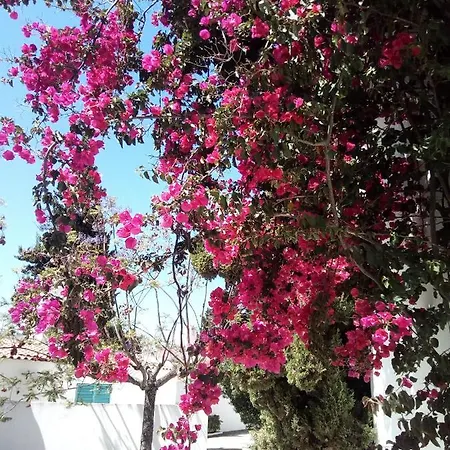 Casa Do Mar Prainha 펜션 *